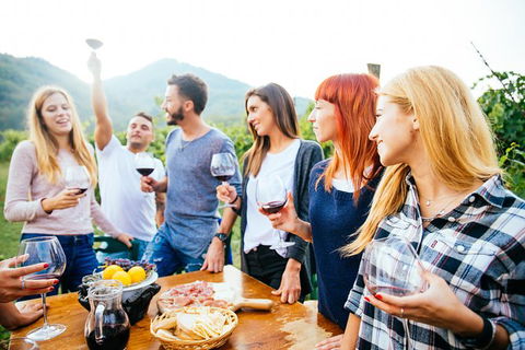 Mt Tamborine Winery Tour - Local Pickup - Accommodation Fremantle 4