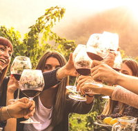 Mt Tamborine Winery Tour - Local Pickup - Accommodation Fremantle