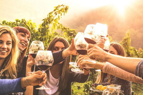 Mt Tamborine Winery Tour - Local Pickup - Accommodation Fremantle 0