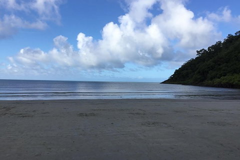 Daintree Luxury Limousine Tour - Full Day - Accommodation Fremantle 6