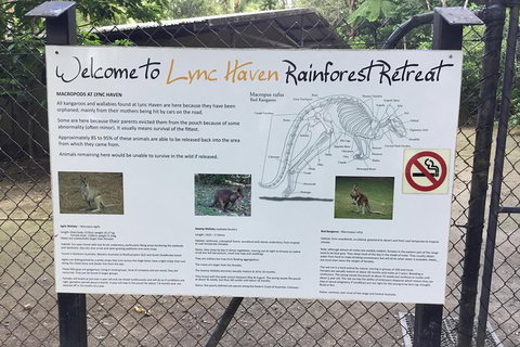 Daintree Luxury Limousine Tour - Full Day - Accommodation Fremantle 2