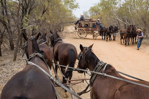Cobb And Co Stagecoach Experience - Accommodation Fremantle 1