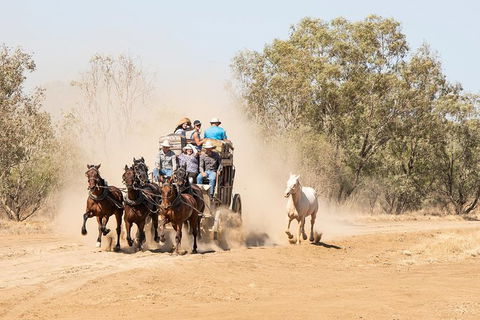 Cobb And Co Stagecoach Experience - Accommodation Fremantle 0