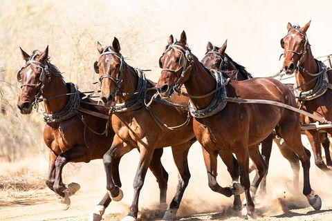 Cobb And Co Stagecoach Experience - Accommodation Fremantle 2