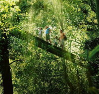 OReillys Rainforest Retreat and Winery Day Tour from Nerang - Accommodation Fremantle