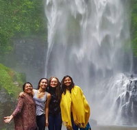 Full-Day Guided Sightseeing Tour of the Gold Coast Waterfalls - Accommodation Fremantle