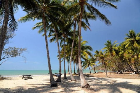 SHUTTLE - Thala Beach And Turtle Cove From Port Douglas (Return Transfer) - Accommodation Fremantle 2