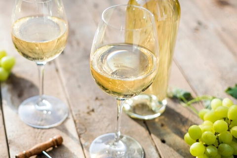 Mt Tamborine Wine Tour - Accommodation Fremantle 15