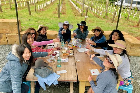 Mt Tamborine Wine Tour - Accommodation Fremantle 14
