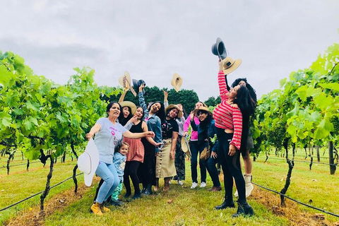 Mt Tamborine Wine Tour - Accommodation Fremantle 18