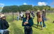 Mt Tamborine Wine Tour - thumb 6