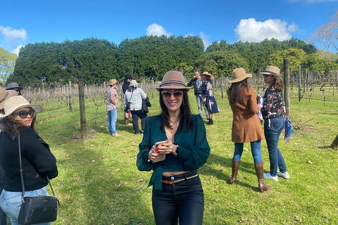 Mt Tamborine Wine Tour - Accommodation Fremantle 6