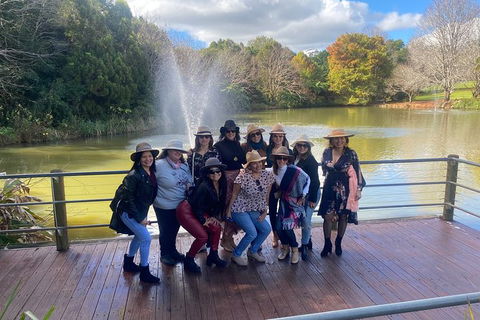 Mt Tamborine Wine Tour - Accommodation Fremantle 7