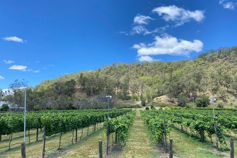 Mt Tamborine Wine Tour - Accommodation Fremantle 9