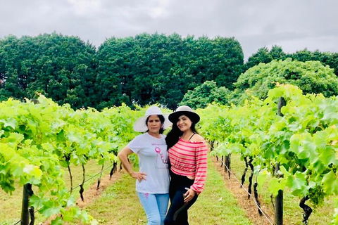 Mt Tamborine Wine Tour - Accommodation Fremantle 13
