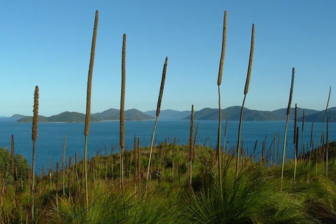 7-Day Private Sea Kayaking In Whitsundays - Accommodation Fremantle 8