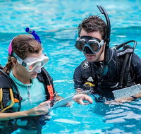 PADI Diving Courses on the Gold Coast - Accommodation Fremantle