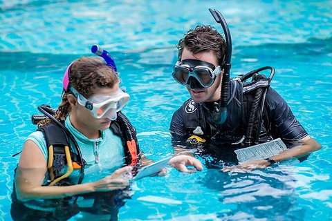 PADI Diving Courses On The Gold Coast - Accommodation Fremantle 0