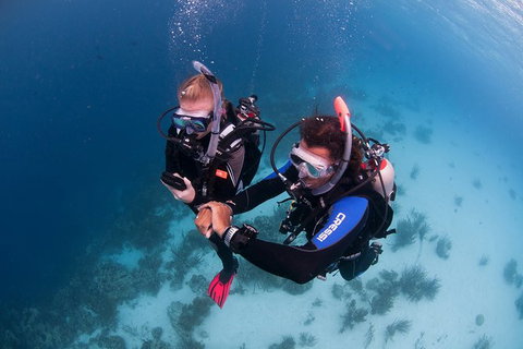 PADI Diving Courses On The Gold Coast - Accommodation Fremantle 5