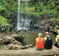 Private Half-Day Springbrook National Park Eco Tour - Up to 6 people - Accommodation Fremantle