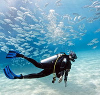 Exciting Gold Coast Diving Excursions - Accommodation Fremantle