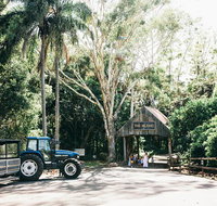Tropical Fruit World Farm Full Tour - Accommodation Fremantle