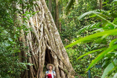 8-Day Outback Experience From Queensland - Accommodation Fremantle 3