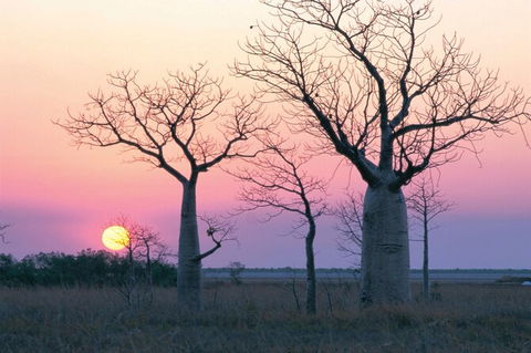 8-Day Outback Experience From Queensland - Accommodation Fremantle 0