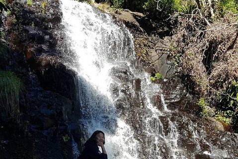 Limited Group Gold Coast Lamington National Park Tour - Accommodation Fremantle 7
