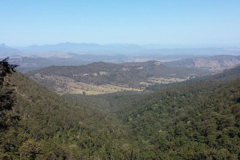 Limited Group Gold Coast Lamington National Park Tour - Accommodation Fremantle 1