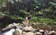 Limited Group Gold Coast Lamington National Park Tour - thumb 0