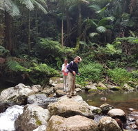 Limited group Gold Coast Lamington National Park Tour - Accommodation Fremantle