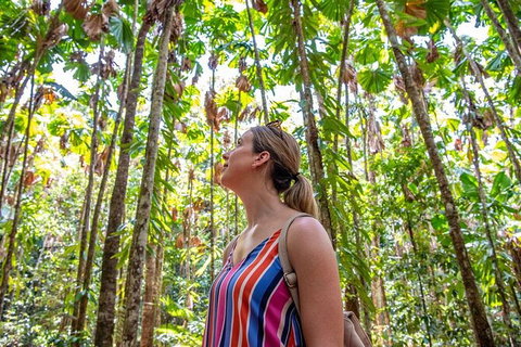 5 Day Australia Retreat: Queensland Daintree - Accommodation Fremantle 3