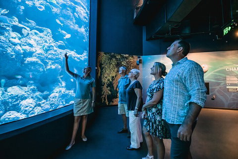 Cairns Aquarium By Twilight With 3 Course Dinner - Accommodation Fremantle 0