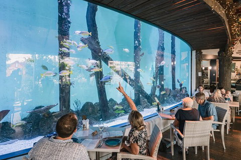 Cairns Aquarium By Twilight With 3 Course Dinner - Accommodation Fremantle 1