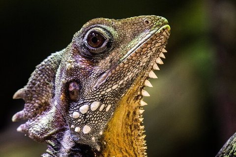 Cairns Aquarium By Twilight With 3 Course Dinner - Accommodation Fremantle 5
