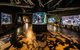 Cairns Aquarium Tour By Twilight With Drink And Appetiser - thumb 4