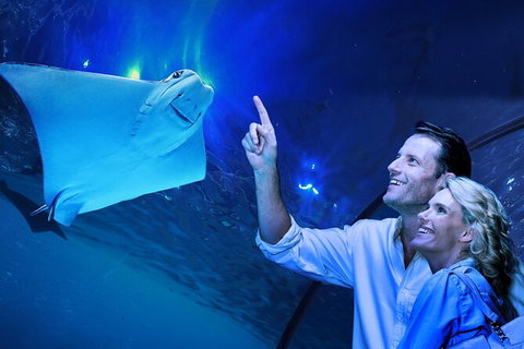 Cairns Aquarium Tour By Twilight With Drink And Appetiser - Accommodation Fremantle 0