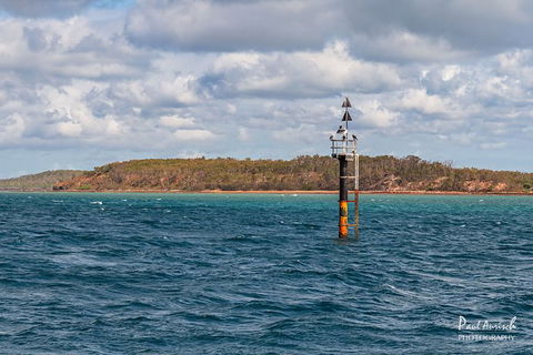 Sandy Straits Scenic & Wildlife Cruise - Accommodation Fremantle 6