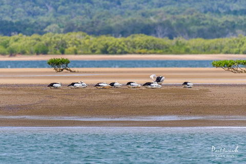 Sandy Straits Scenic & Wildlife Cruise - Accommodation Fremantle 3
