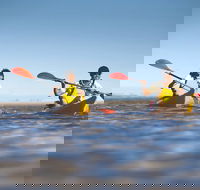 Kangaroo Island Self-Guided Kayaking on the Harriet River - Accommodation Fremantle