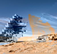 Kangaroo Island Luxury Small Group 'Flinders Chase Focus' Full Day Tour - Accommodation Fremantle