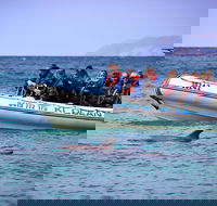 Kangaroo Island 75-Minute Ocean Safari - Accommodation Fremantle