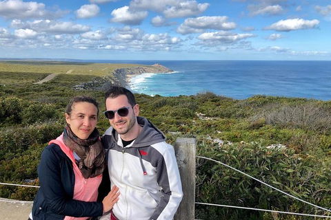 NEW TOUR - Flinders Chase Tour (Recovering From Fires) - Accommodation Fremantle 3