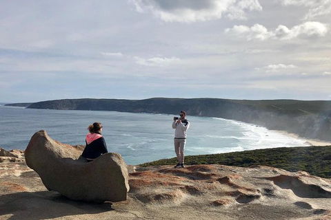 NEW TOUR - Flinders Chase Tour (Recovering From Fires) - Accommodation Fremantle 5
