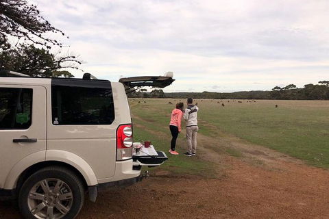 NEW TOUR - Flinders Chase Tour (Recovering From Fires) - Accommodation Fremantle 6