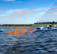 Dolphin Sanctuary Kayaking in Adelaide - Accommodation Fremantle