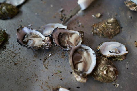 Fine Flavours - Full Day Kangaroo Island Food & Wine Tour - Accommodation Fremantle 10