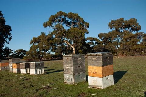 Fine Flavours - Full Day Kangaroo Island Food & Wine Tour - Accommodation Fremantle 5