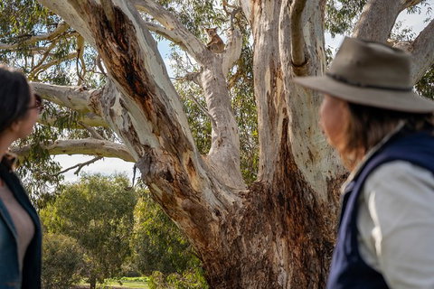 NEW TOUR - Kangaroo Island Road To Recovery Tour (1 Day/1 Night) - Accommodation Fremantle 2